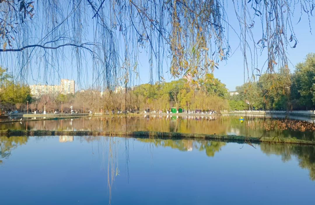 在云南旅居的日子---昆明