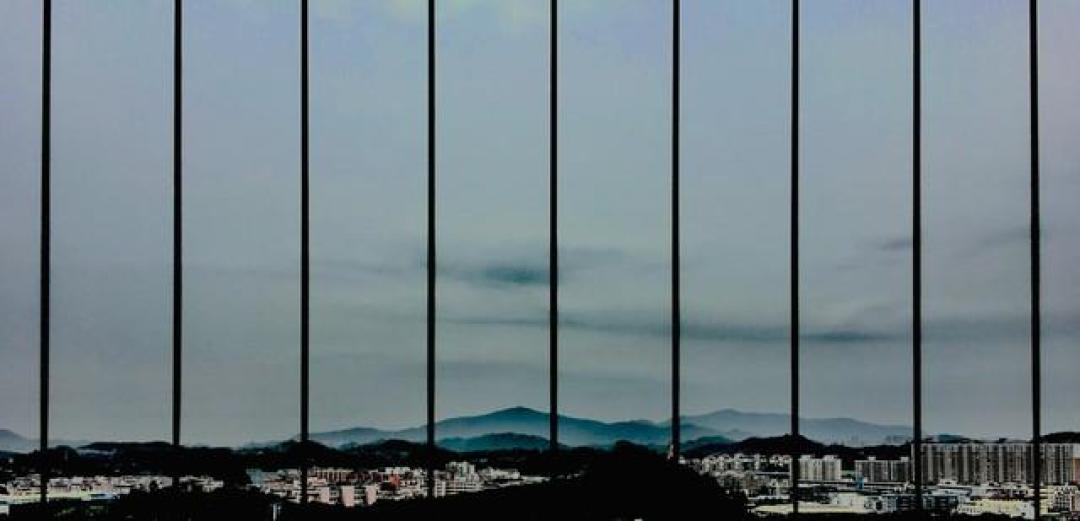 情绪稳如老狗:背后藏着实力与格局,学会这几招,人少烦恼多自在
