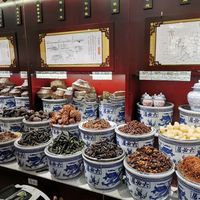 狼大爷躺平记“六必居博物馆”——浓浓酱香家里味，老店寻古奔后走，博物馆里有故事，六必居中看一看[坏笑]#北京 #北京旅游