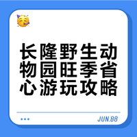 广州长隆野生动物园最全攻略🐨🐼🦒