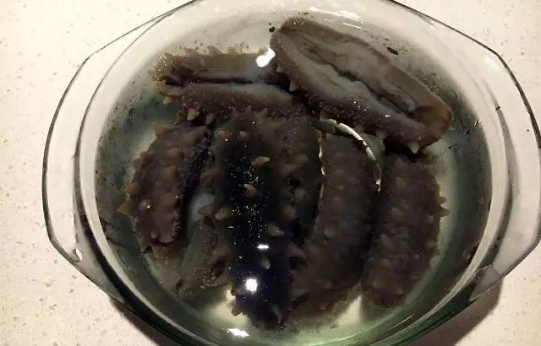 用正确步骤泡发干海参:简单易懂,人人都能上手