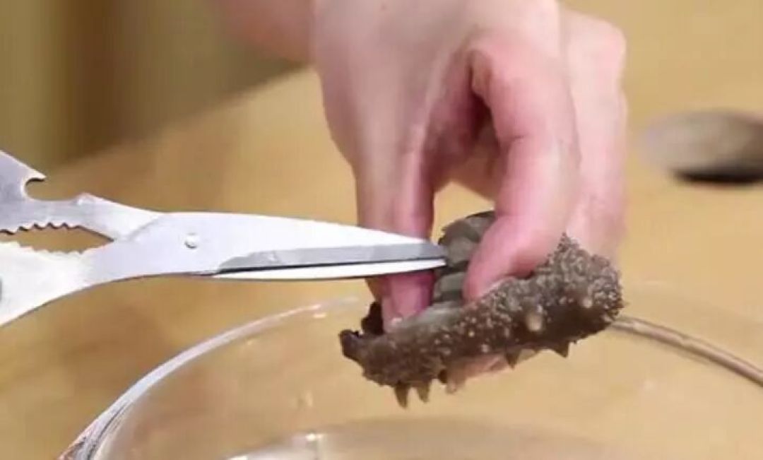 用正确步骤泡发干海参:简单易懂,人人都能上手
