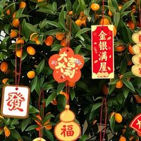 春联年桔，家的温暖仪式