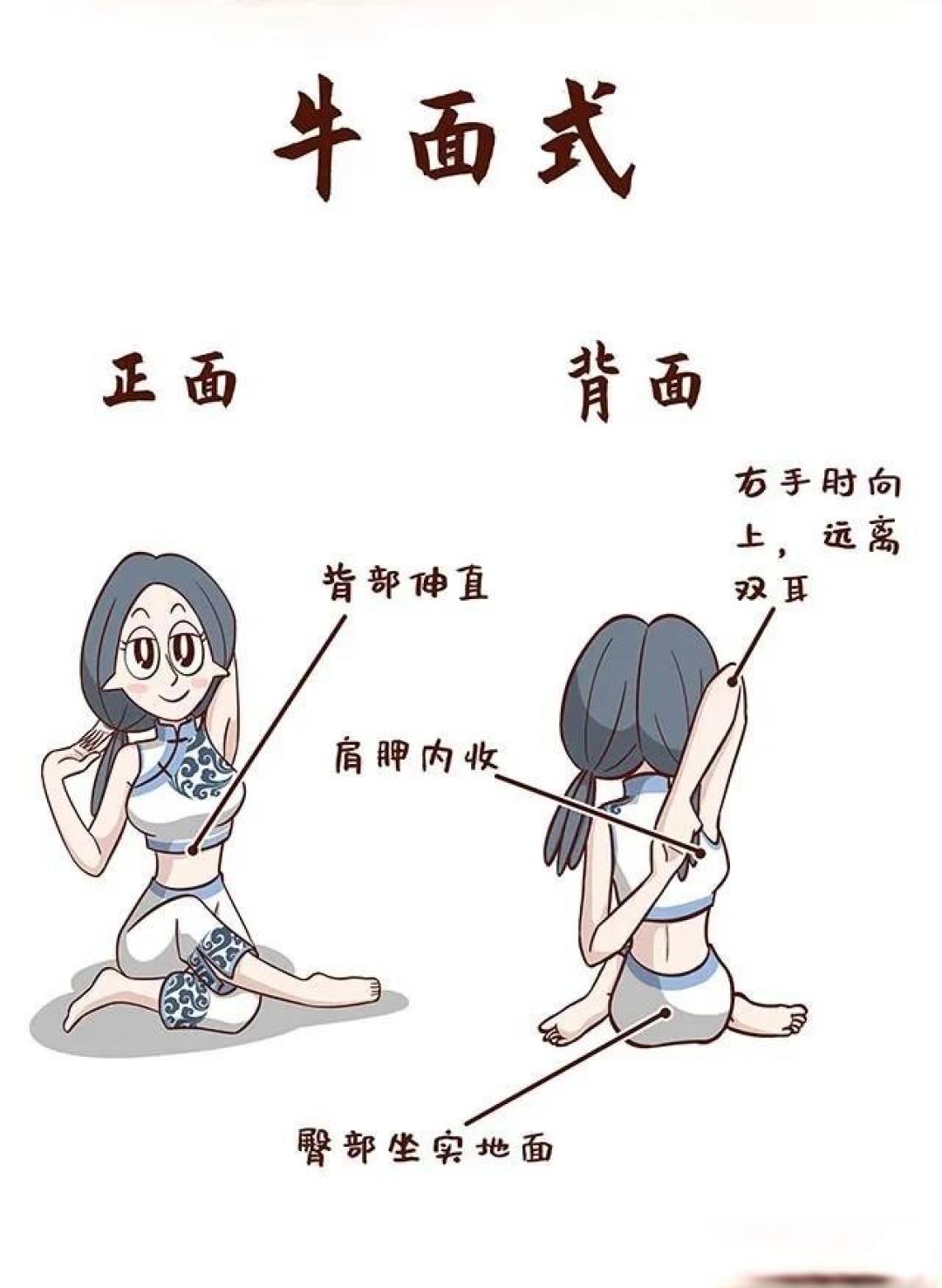 50+瑜伽阿姨亲测:牛面式双手扣不上?15年经验总结这8招最管用!