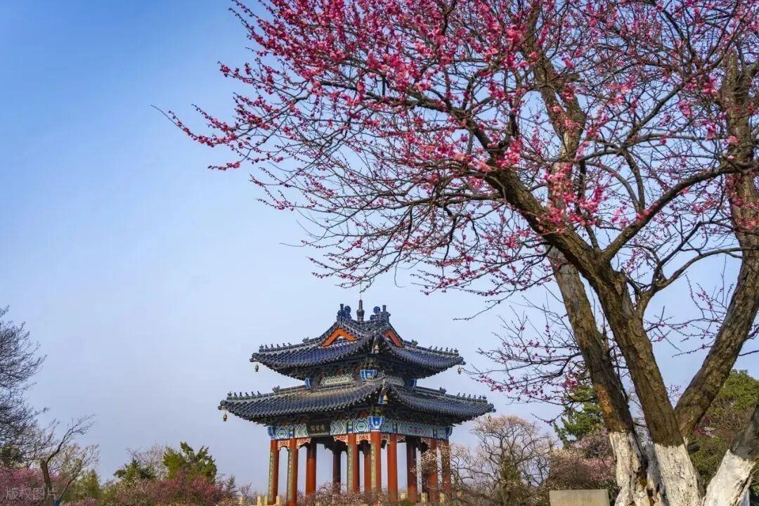 适合2月-3月淡季出行的7个旅行地,美景繁多,人少清净