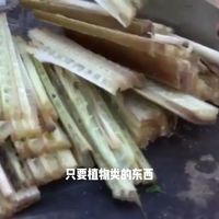 在家用花盆种植无渣生姜全过程
