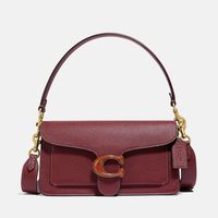 两代tabby对比#蔻驰 #COACH #包包推荐 #美包分享