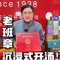 中茶老班章沉浸式开汤！ #中茶 #老班章 #古树 #喝茶 #普洱茶