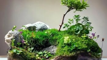 200元成本卖1万！00后小伙靠这门手艺年入百万！