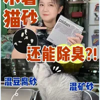 和谁都能混的木薯猫砂…居然还能除臭？！ #猫砂测评 #新手养猫 #木薯猫砂 #pidan猫砂 #猫砂