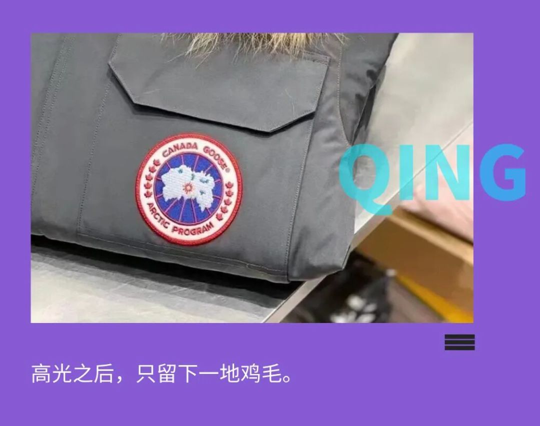 谁“杀死”了加拿大鹅?