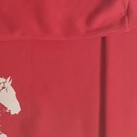 酒红色加绒卫衣，保暖显白