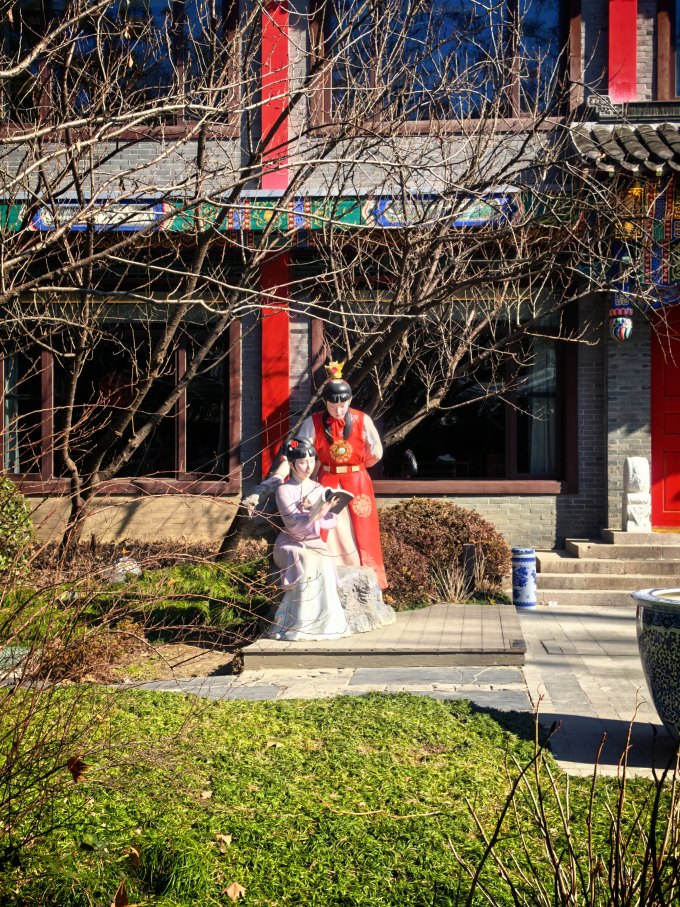 扬大低温酸奶