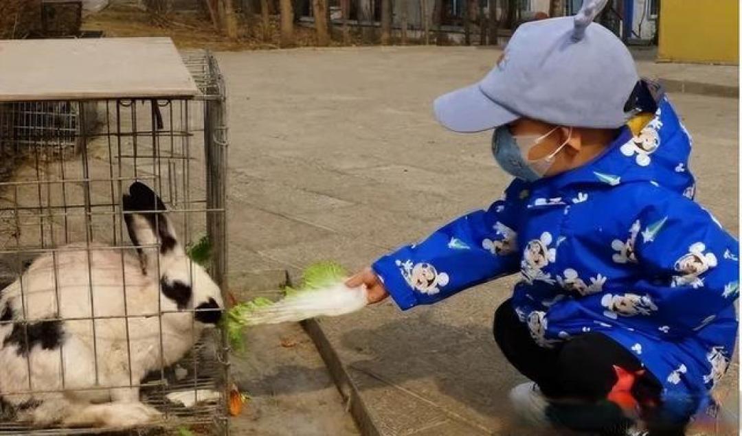 “萌宠”变“猛兽”：1岁娃喂兔被咬断手指，给所有家长敲响警钟