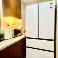 我拥有了一台颜值在线的新冰箱（一）