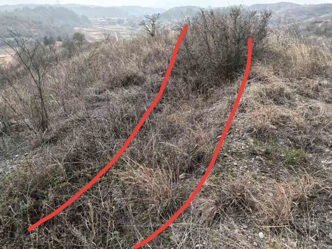 第一次长沙会战草鞋岭阵地遗址考察