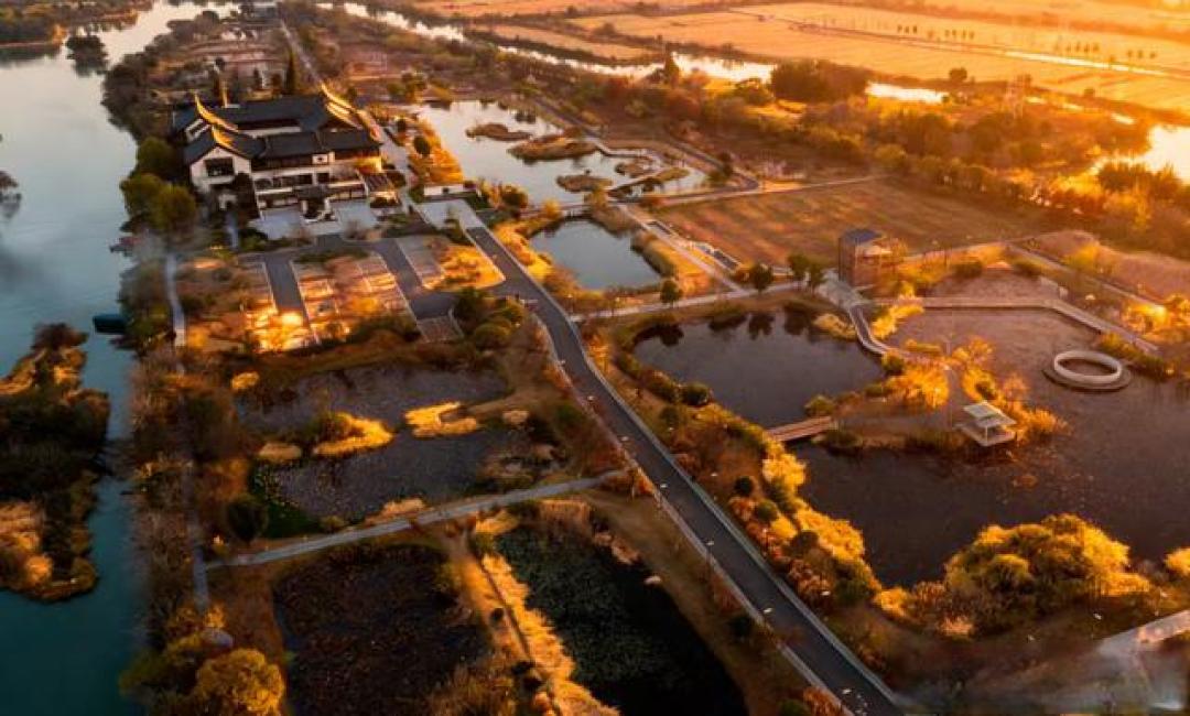 台州风物:这方湿地,藏着人们向往的诗和远方丨2026新春走基层