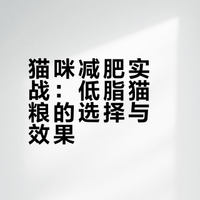 2025—靠喂低脂猫粮成功减肥的一年（空袋有