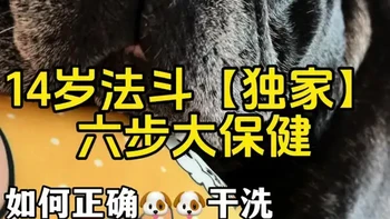 14岁法斗长寿大保健 
狗狗如何正确干洗
有效避免皮肤病+趾间炎
让小狗爱上干洗，拥抱舒适好心情
#法斗 #宠物科普 #养狗经验分享 #狗洗澡 #老年犬