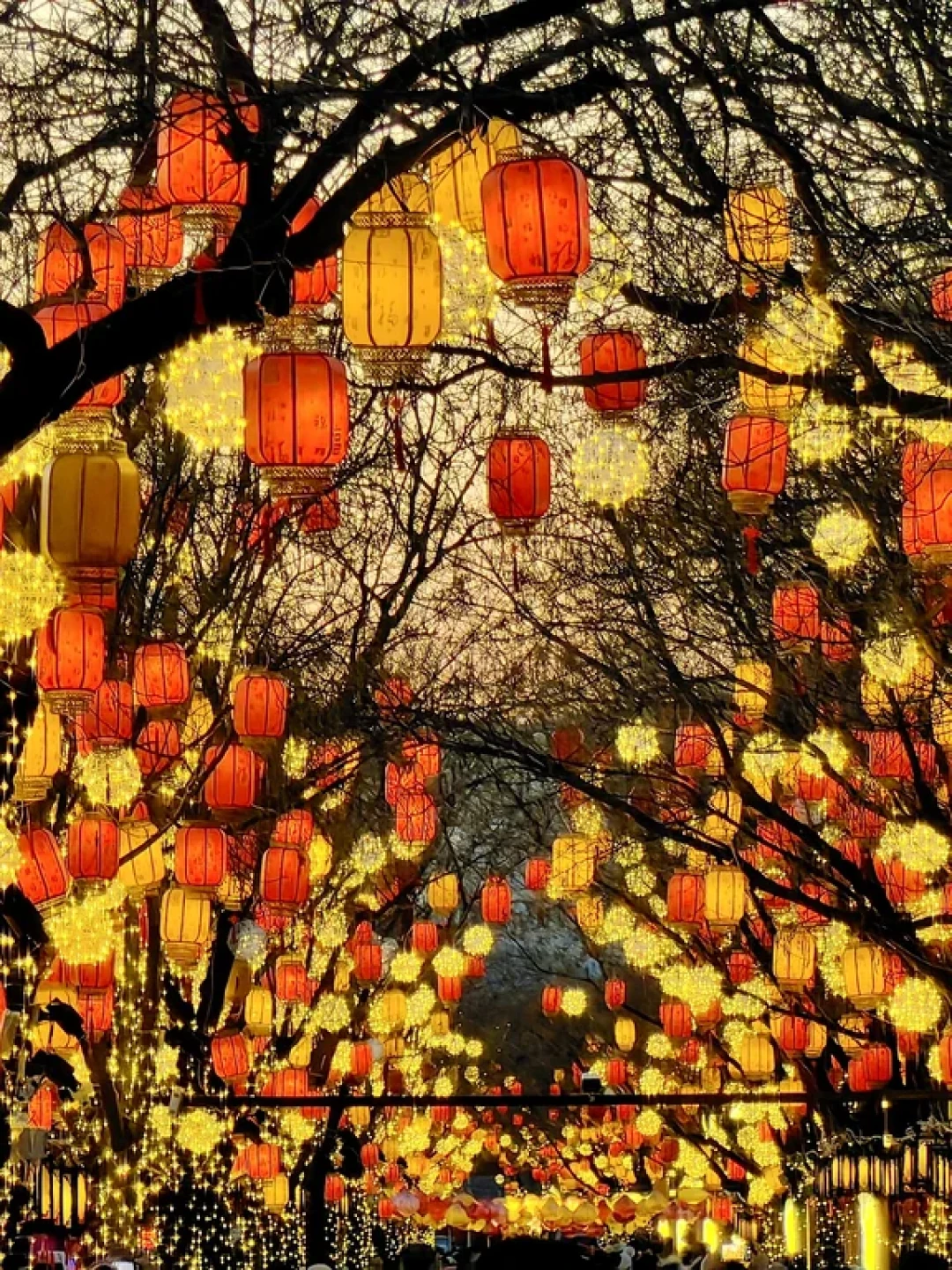 2026年北京春节灯会🏮超全盘点!