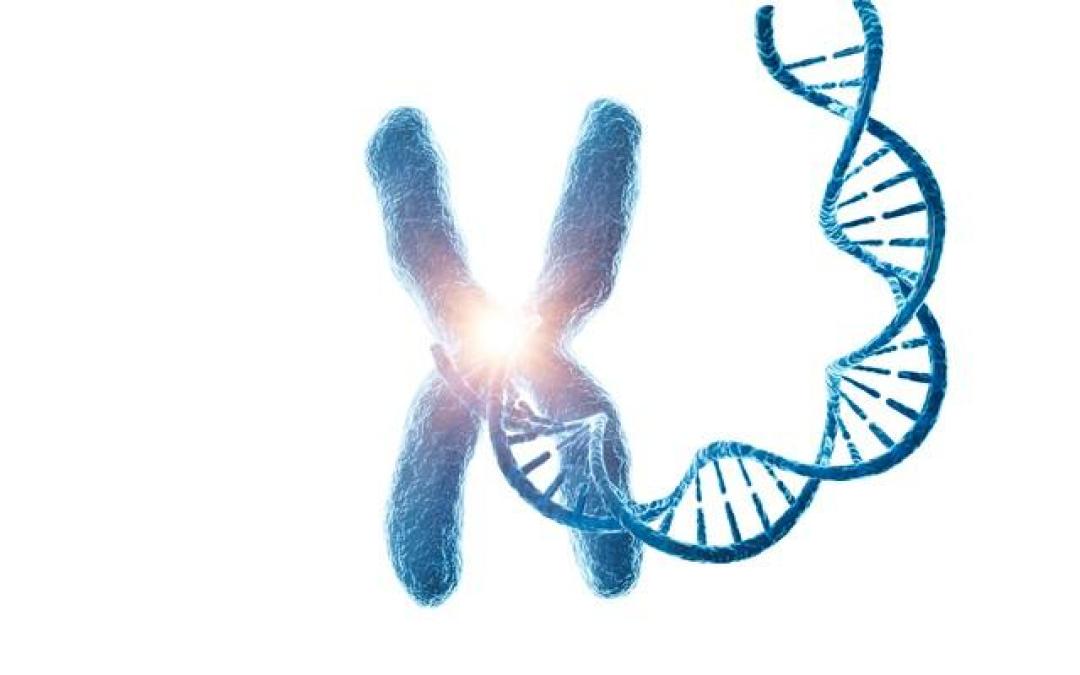 研究发现:父母如果有这8种疾病,后代的基因大概率会复制
