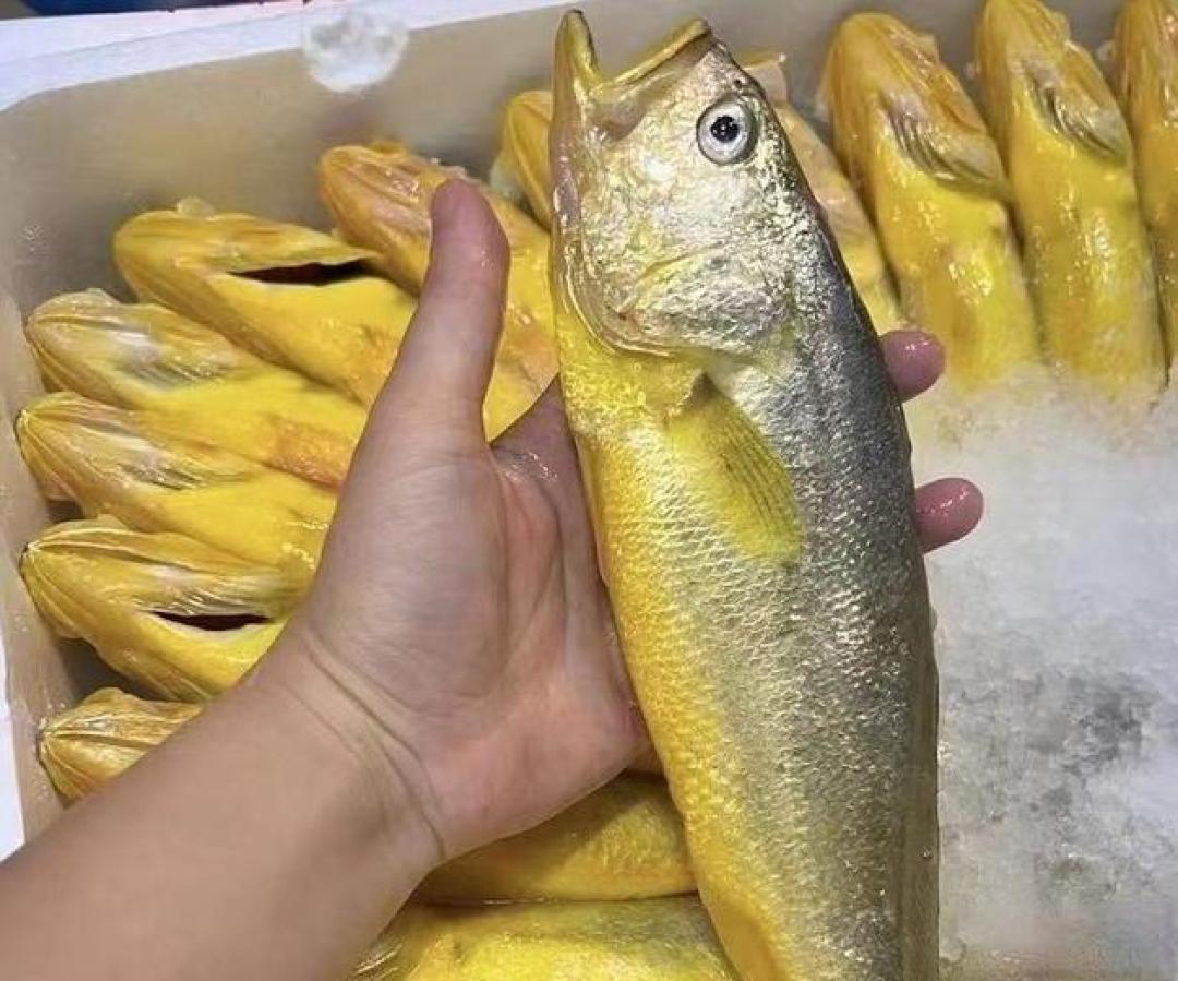 过年买海鲜避坑指南:这7种食材再馋也别碰