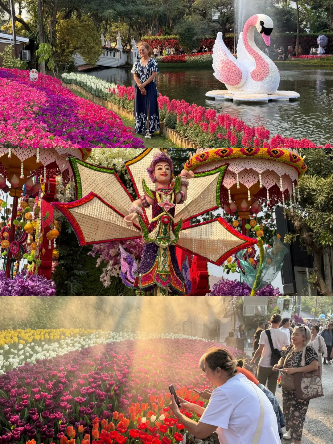 🌸只有3天的浪漫，错过再等一年！
