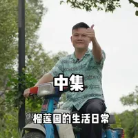 为什么马来西亚榴莲这么好吃，带你们一起看看，果农指尖的老茧，如何换来这一口软糯香甜#榴莲  #马来西亚榴莲 #榴莲园的日常生活