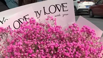 一周后依然绽放：情人节居家鲜花选购与养护完全手册