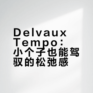 Delvaux Tempo｜给160cm小个子的松弛感答案