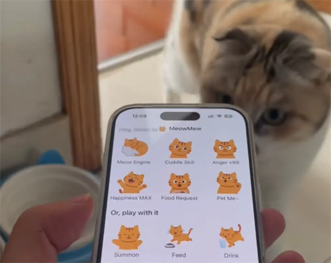 两人用千元做出“猫咪召唤器”:登顶付费榜后用户猛增500倍