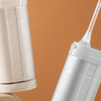 洗牙器冲牙器哪个牌子好？TOP10品牌精选：高效清洁口腔款PK