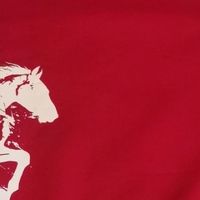 马年本命战衣！回力平安喜乐国潮卫衣，保暖祈福两不误