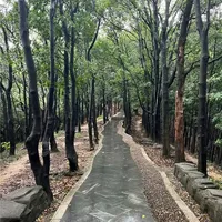 《3-6岁娃也能走完全程!这份亲子轻徒步攻略让娃主动说“下次还来”》