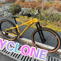 我也买了个cyclone这个车架，组了一台车出来。这个价位真没什么可说的。