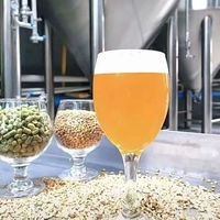 中国首部《工坊啤酒》国家标准发布：2027年起强制标注麦芽比例≥50%，重构精酿市场准入规则