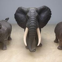 动物模型-英国CollectA系列(1)-88966非洲象、88852犀牛、88833河马
