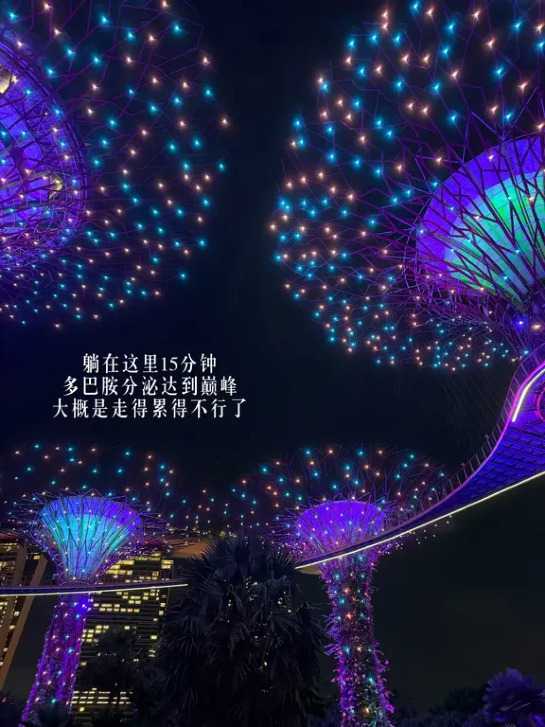 两次忘崽旅行,竟然都给了新加坡!