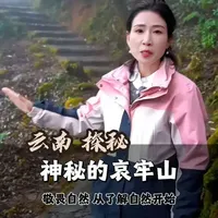在云南,有一座山,当地人叫它“死亡森林”,网友称它是现实版的“云南虫谷”。#哀牢山 #神秘古国 #野外生存 #敬畏自然 #文旅推荐