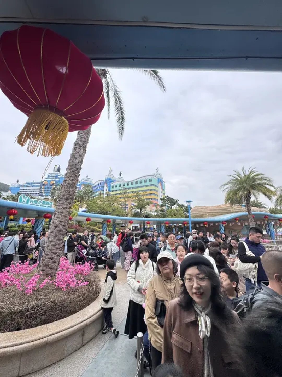 2月8号珠海长隆实况