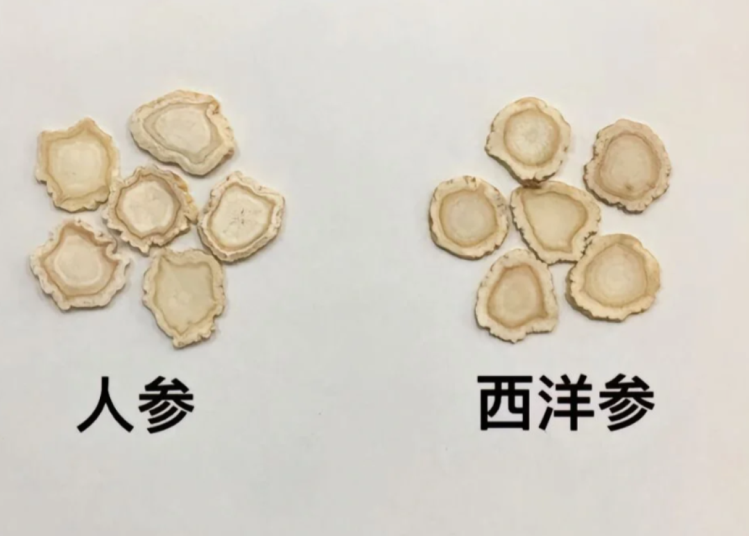 千万别把人参当西洋参,不但不补益反伤身!正确用法、适宜人群,这里都有 ~