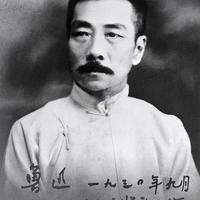 鲁迅都没个长篇，为啥是现当代文学TOP1？