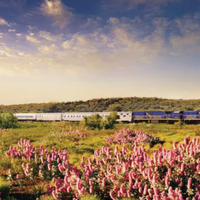 越南、澳大利亚、意大利三国火车旅行体验呈现显著差异：基础设施、服务定位与系统稳定性形成鲜明对比