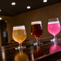 高分不等于好喝：六家东京精酿酒吧在酒款多样性、本土酿造比例与试饮政策上的真实差距