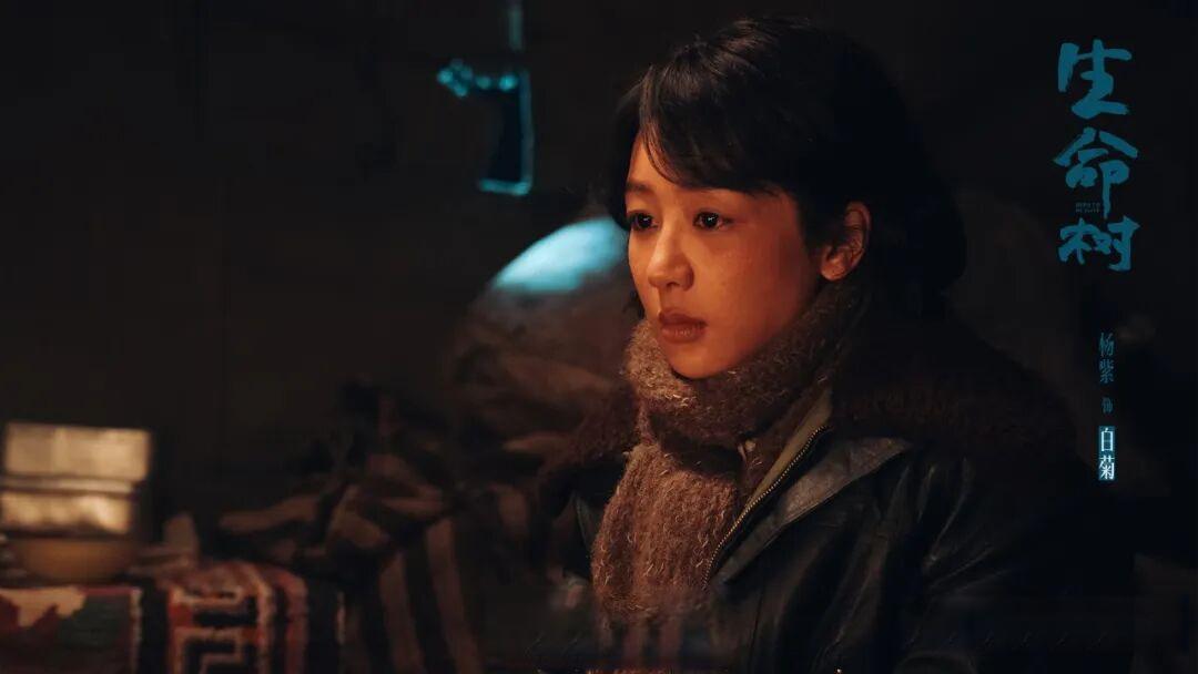 《生命树》首波演员评分出炉,杨紫6.3垫底,梅婷仅排第三,第一很拽