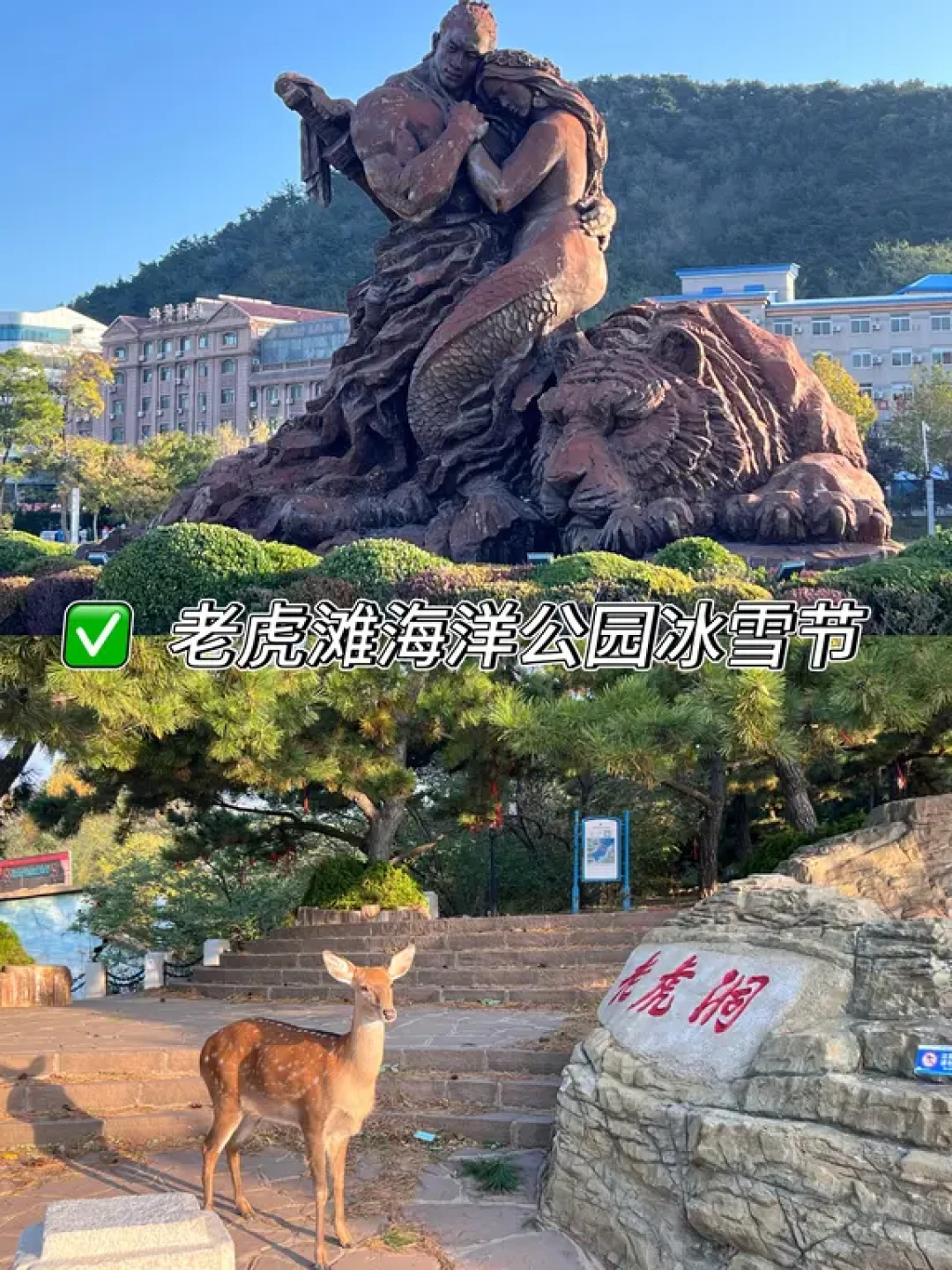 看看大连的冬天,真的会暖和很多!