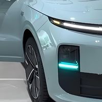 提理想L6迎新年，车衣纠结党实测分享