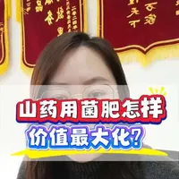 有机肥和菌肥根本不是一回事！有机肥的核心作用是补充土壤有机质、改善土壤结构，就算含菌，也是低活性的辅助菌，功能性极弱；而菌肥的核心是复合生防菌，比如枯草芽孢杆菌、淡紫拟青霉这些，专门针对山药线虫、根腐病菌，还能促根，这是有机肥里的菌比不了的#山药种植 #微生物菌剂矿源黄腐酸钾#水溶肥厂家#创作灵感