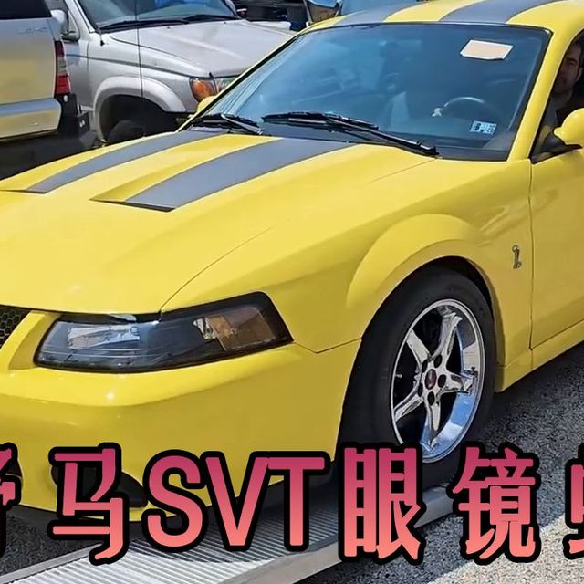 3万美元捡漏野马眼镜蛇，三大硬核升级变身终极猛兽