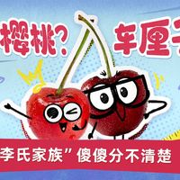 车厘子vs中国樱桃，你分得清吗？【奇趣百科馆】
